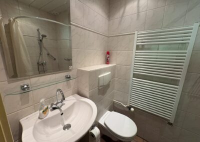 Toilet van vakantiehuis De Kateeker in Ootmarsum