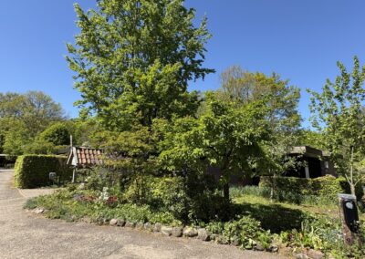 Tuinpad met heg en schuur bij vakantiehuis De Kateeker Ootmarsum