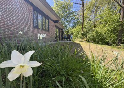 Narcis in de tuin van vakantiehuis De Kateeker met vijver en bungalow op de achtergrond